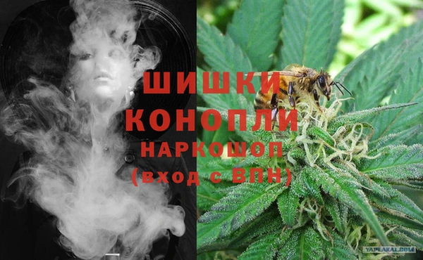 гашик Туринск