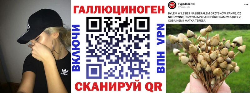 продажа наркотиков Торжок Галлюциногенные грибы прущие грибы
