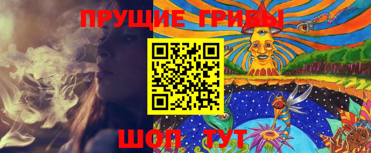 Галлюциногенные грибы Cubensis Торжок